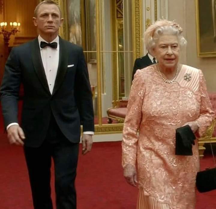 BrSemPT's tweet photo. @mhopkinsfco @RonySchork @jairbolsonaro @RoyalFamily Vou guardar essa imagem... https://t.co/jZo6oz5XMq