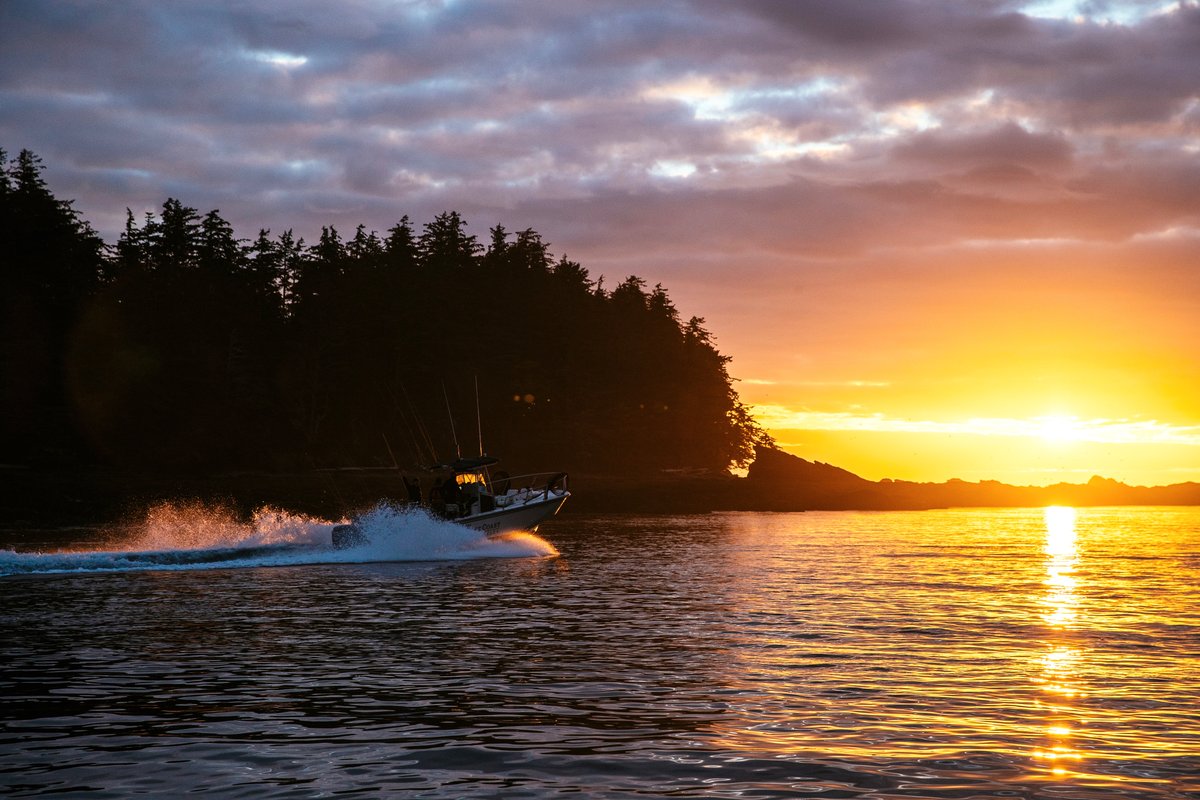 The West Coast Fishing Club tweet media