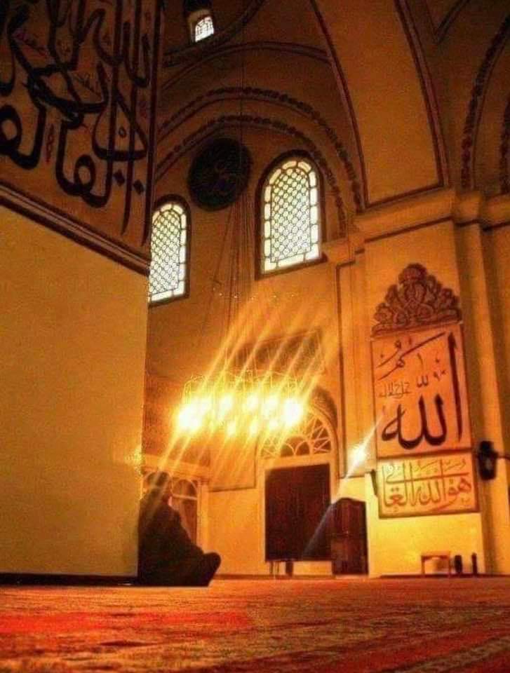r0o7_89's tweet photo. " و قال لي :
سِر ، فأنا دليلك ، إلي.."

#النفري https://t.co/QhE8R5nGVw