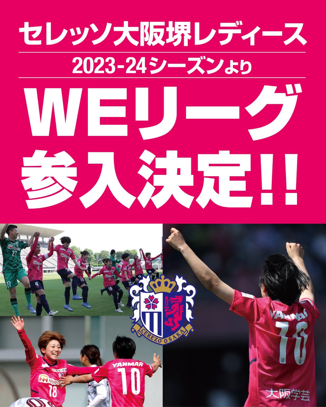 【メーカー公式ショップ】 セレッソ大阪 トレーニングマッチユニフォーム ウェア