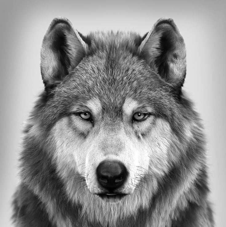 Ohmny_777's tweet photo. #NewProfilePic https://t.co/gmwRRAfU8z