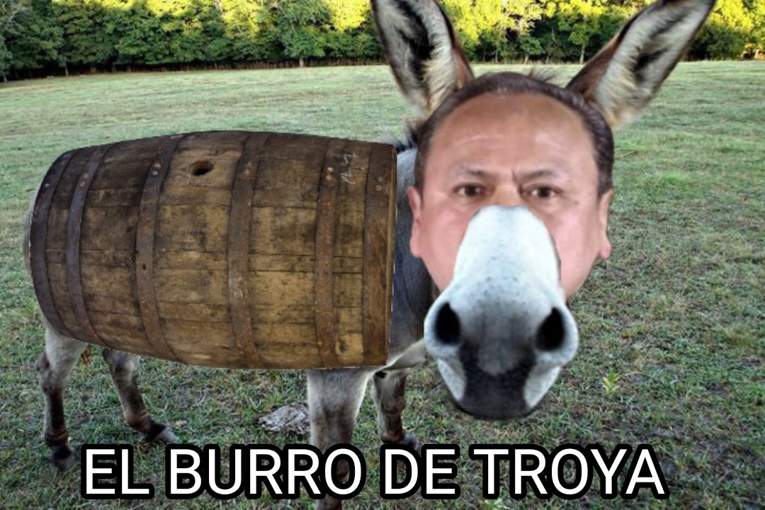 VictorianoVict5's tweet photo. @LejosCon @congresoperu Al burro de dieron por atroya.🤣🤣🤣🤣🤣🤣 https://t.co/yLOJ6qNpgM