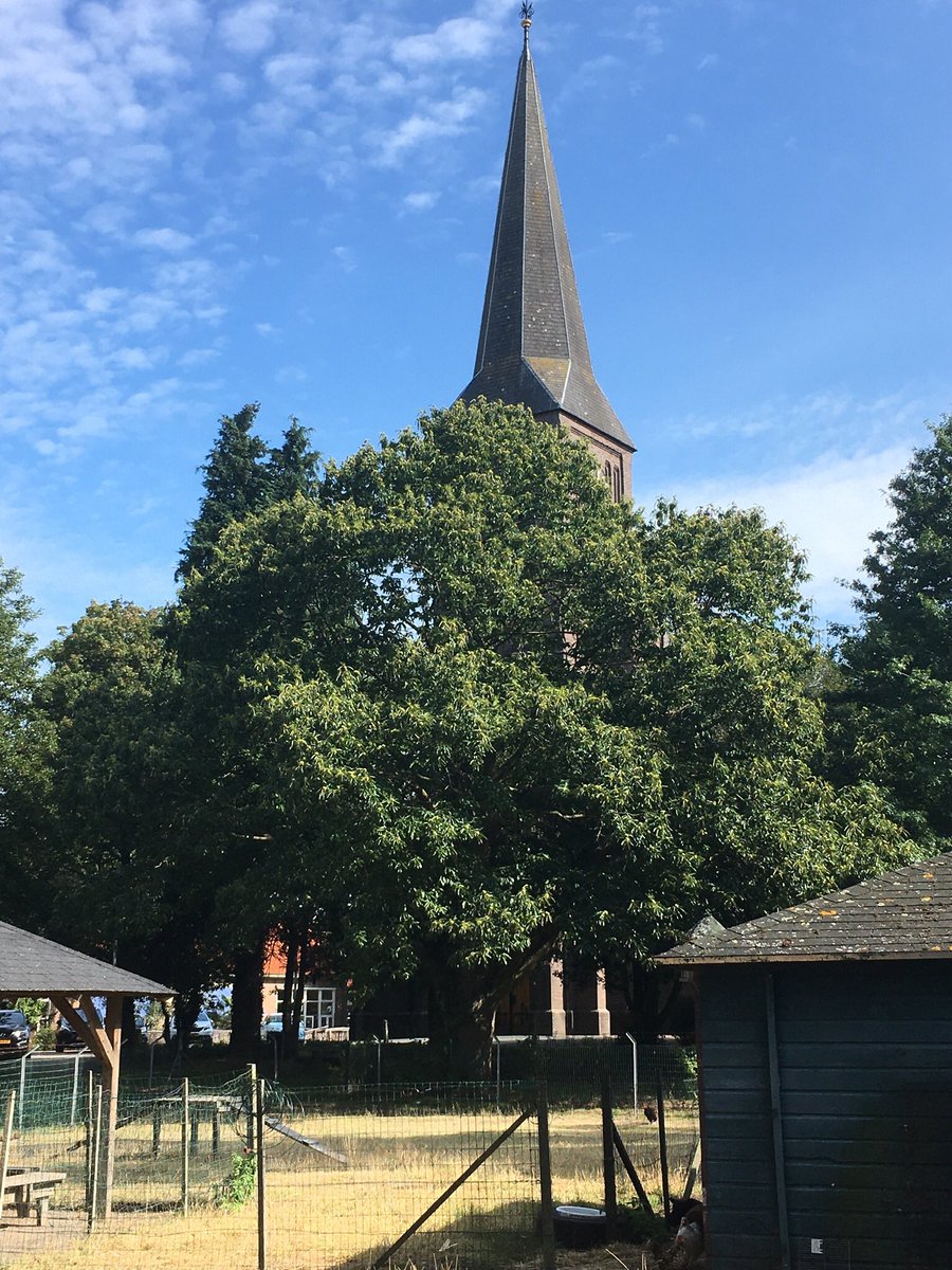 elsjonker's tweet photo. #lkedageenfoto #Deventer  #Lettele https://t.co/tYuJJu4zjk