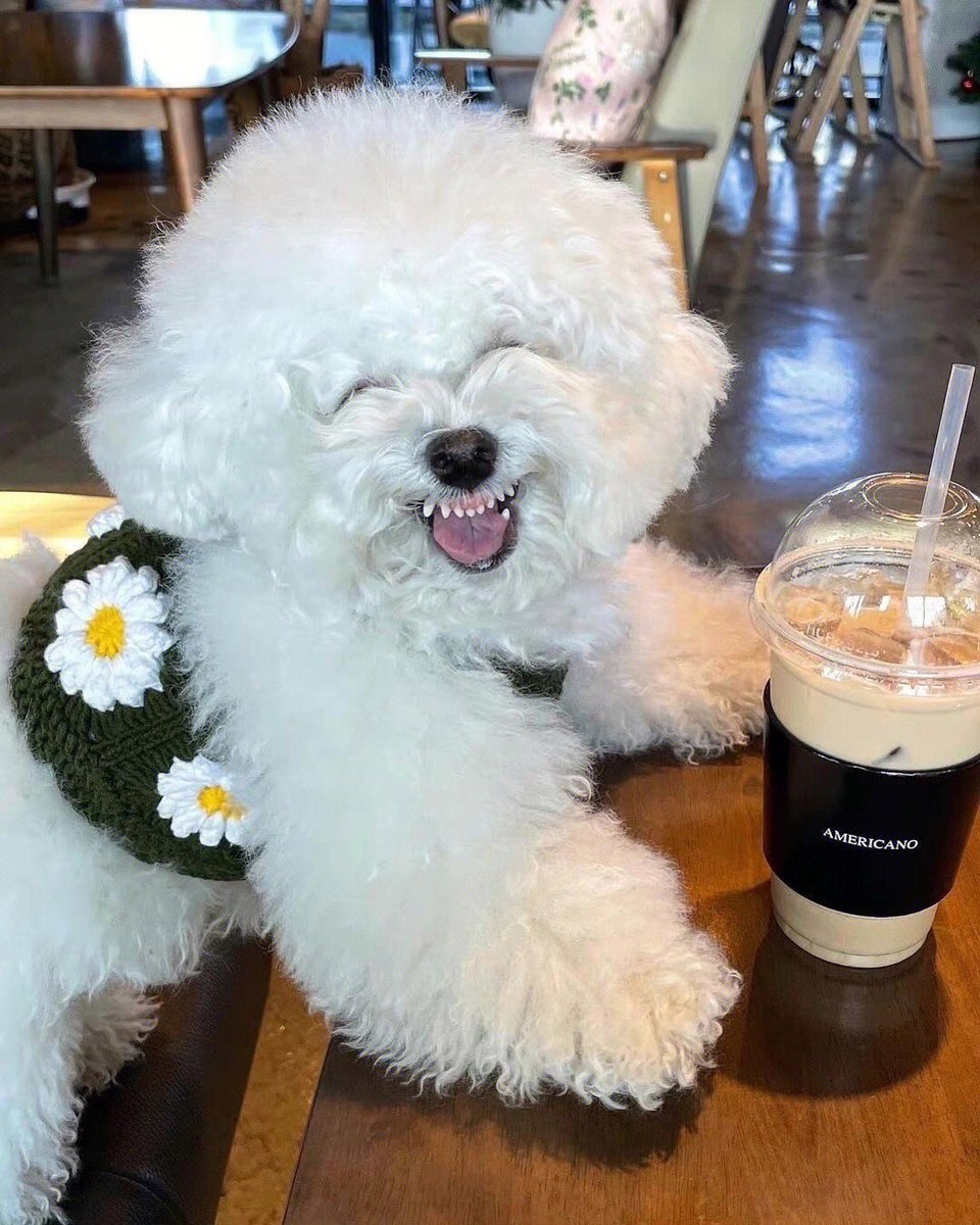 Miahappy112's tweet photo. It's so cute!😊😊 https://t.co/7jH4XvoXSs