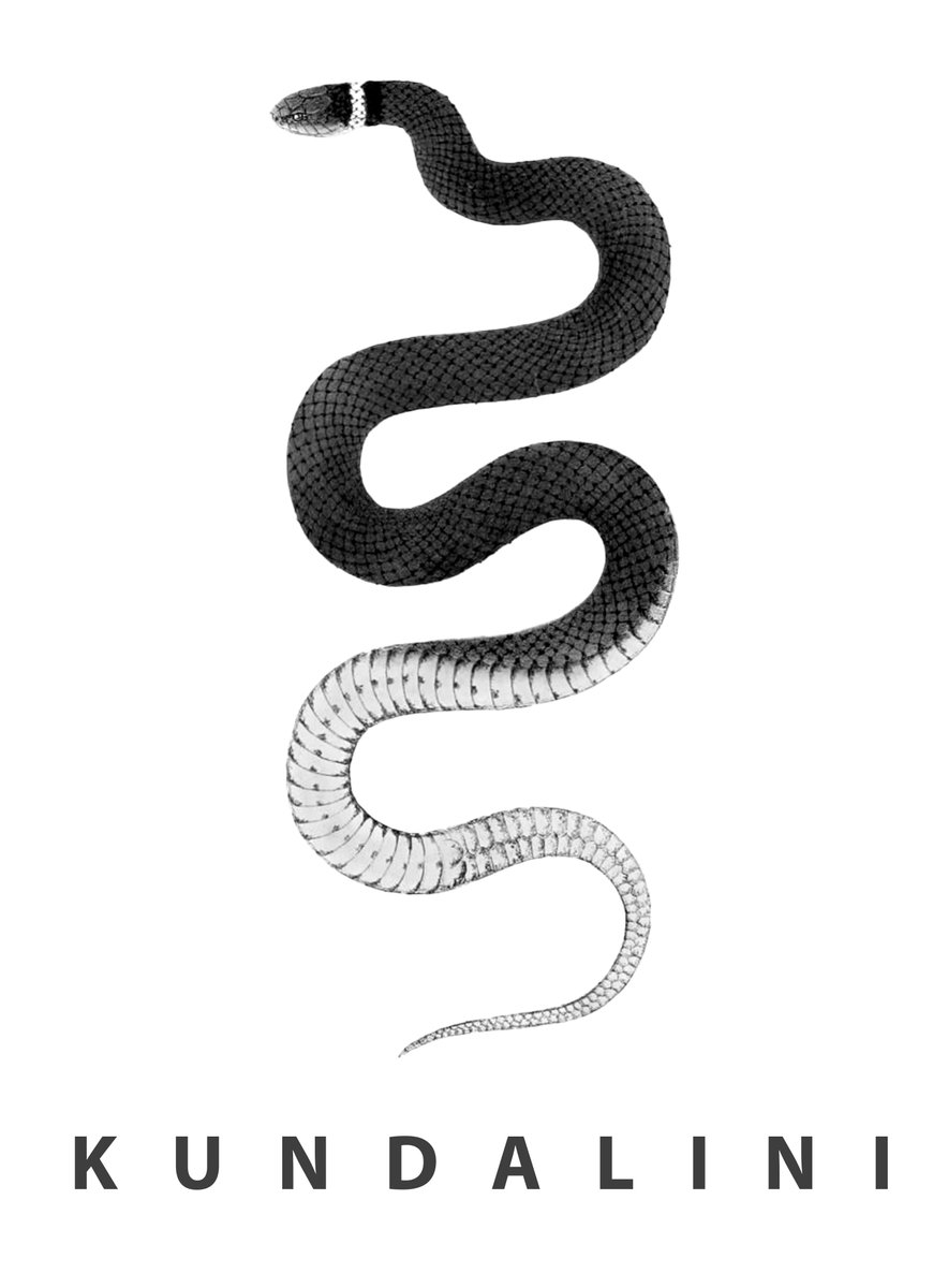 THDZYNZ's tweet photo. Kundalini Energy.. What is this?  Get The #sticker #thorneholderart #yoga #snake https://t.co/PYU3jmXrpp https://t.co/egPeoQWHxq
