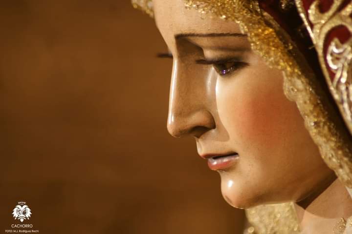 Buenos días nos dé Dios y Él Santísimo Cristo de la Expiración El Cachorro de Triana y su Bendita Madre la Virgen del Patrocinio.