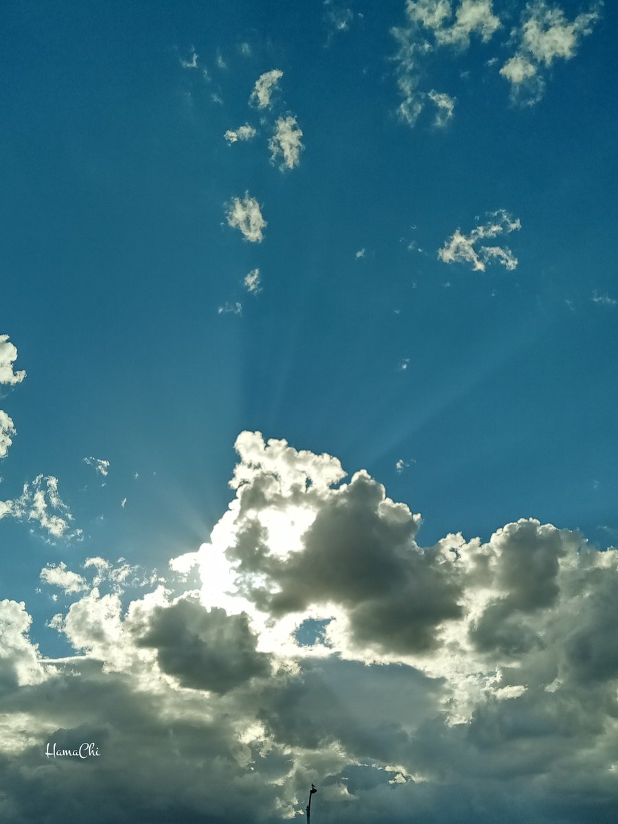Bluemoonkari's tweet photo. おいてけぼりの
こころと
なつの
ざんぞうのような
そらが
ゆきばを
うしないつつも
そこで
うまく
ちょうわしていた
#ミナサンゴゴモエガオデノリキッテ
#ワタシハソロソロハユメノセカイヘ
#Imaokay https://t.co/ryHrWm0A17