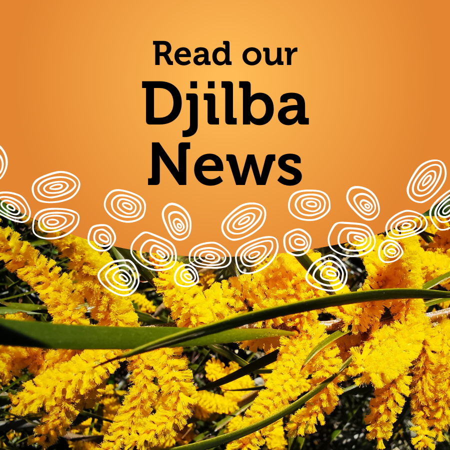 Djilba News out now! Read the latest on all our upcoming events and programs: bit.ly/3ewvwWg

Haven't subscribed yet to our newsletter? It's the best place to stay up to date with all things Reconciliation WA.

Subscribe now: bit.ly/3RMW9oZ