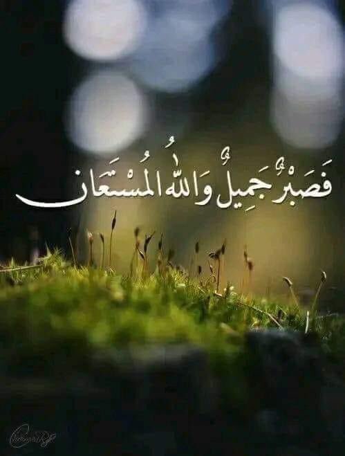 قال رسول الله ﷺ :—

إنَّ اللَّهَ عَزَّ وَجَلَّ يَبْسُطُ يَدَهُ
باللَّيْلِ لِيَتُوبَ مُسِـيءُ النَّهارِ
وَيَبْسُطُ يَدَهُ بالنَّهـارِ لِيَتُوبَ
مُسِيءُ اللَّيْلِ

حتّى تَطْلُعَ الشَّمْسُ مِن مَغْرِبِها.

صحيح مسلم...🍃🌸