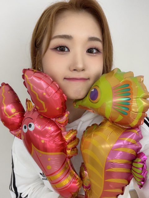 mirepics's tweet photo. fancafe update https://t.co/11jTvo3bGp