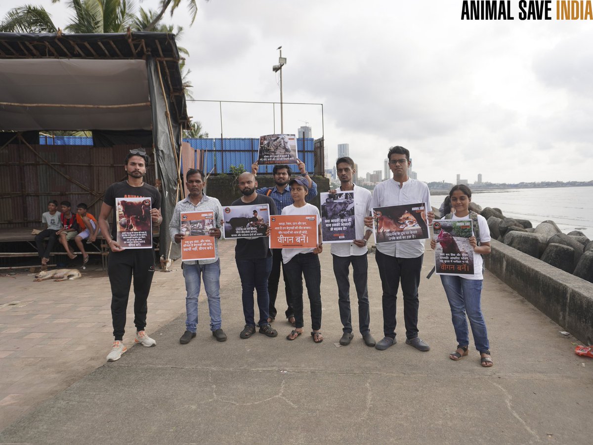 Mumbai Animal Save tweet media