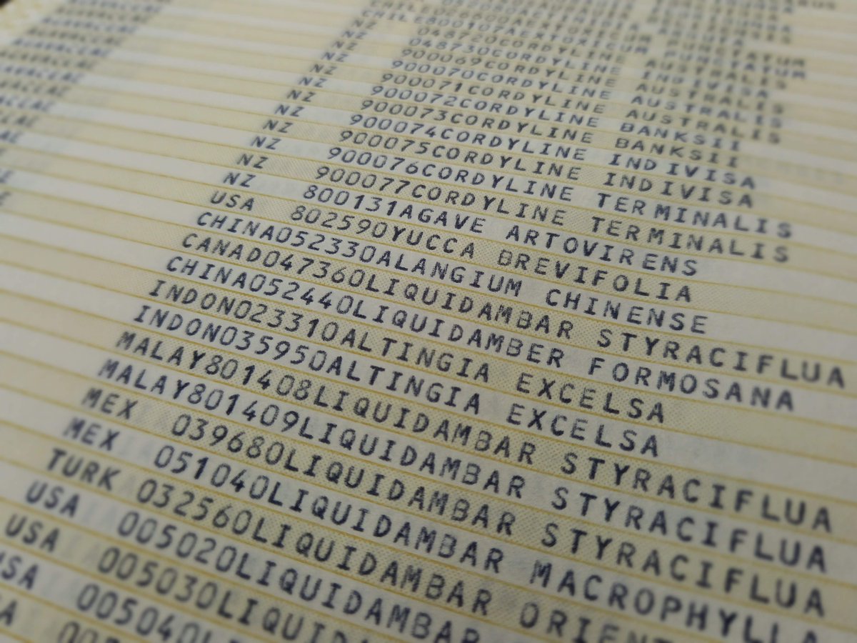 MattBuys's tweet photo. Before and after - Dot matrix printout from 40 years ago => #Brahms_database via OCR and ∞ hours of eyeballing. #National_Forestry_Xylarium @scion_research #BioCollections, the largest xylarium in NZ, undergoing a curatorial upgrade. https://t.co/eCHjDYaz70