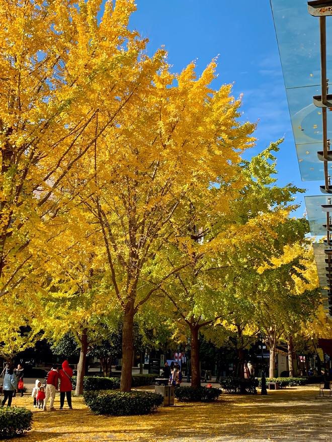 Harper60518655's tweet photo. 朝の日差し💛🌞☀️
#morning_sunshine https://t.co/fQeeFFG0w3