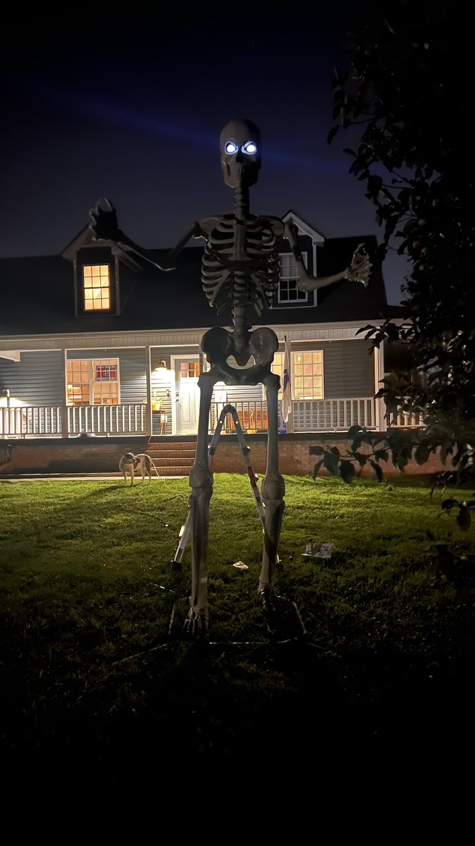 tweeethed's tweet photo. After 2.5 years of trying to get a 12 ft @HomeDepot  Skeleton, my wish came finally came true. 💀🥲 https://t.co/zwwGylcKj3