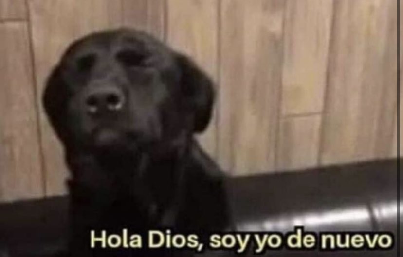 EGDhindues2022's tweet photo. pensando como fui tan Gil, tuve que comprar un sector medio mierdita, sector secos, en la cual no iba lograr ver bien a la banda, pero NADA, NADA me iba a detener llegar hasta la primera fila en el transcurrir del concierto https://t.co/4v5HjTt51P