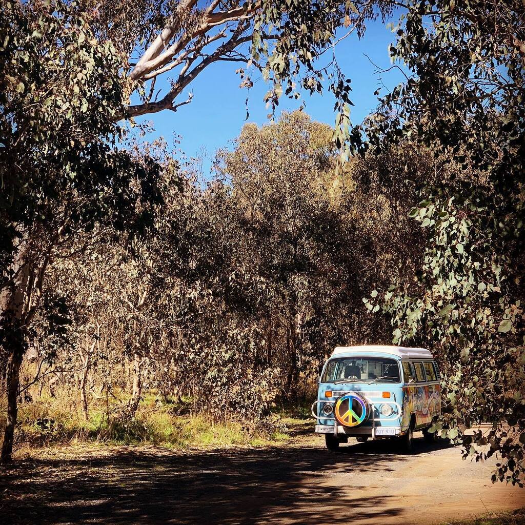 coach_chris's tweet photo. Took the #aussiepeacewalk #kombi for a little 800km overnight adventure. It performed well on the rough dirt tracks as only a #t2 can 
 https://t.co/XbHFRpaLQX https://t.co/9npsCTzN31