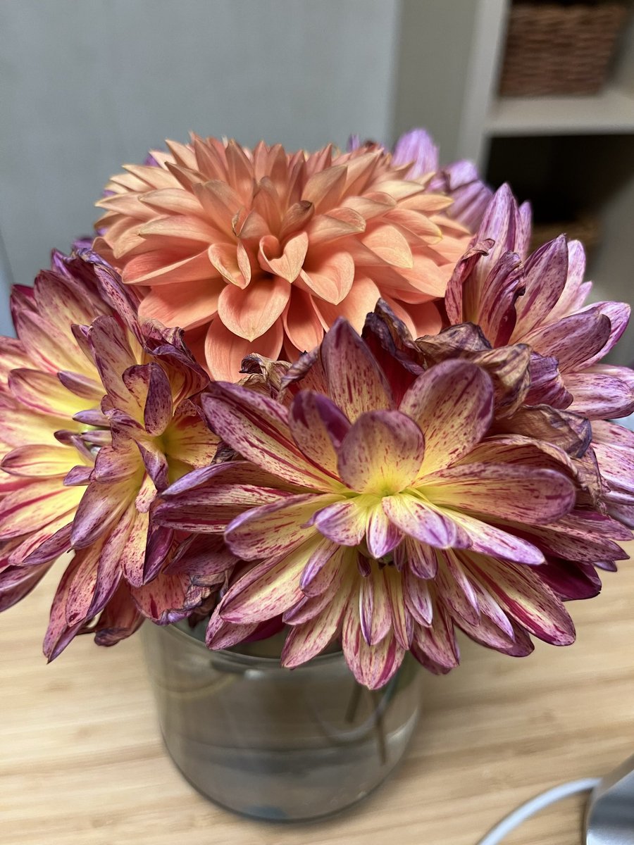 Kelli Lundie tweet media