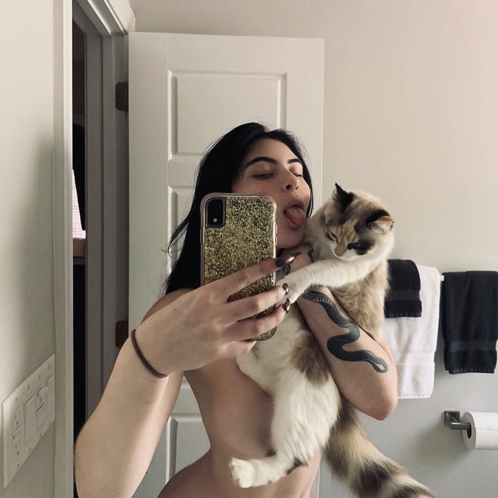 alicedeva03's tweet photo. Je cherche quelqu'un pour remplacer le chat en DM 😏 https://t.co/RUGeKMDBKx