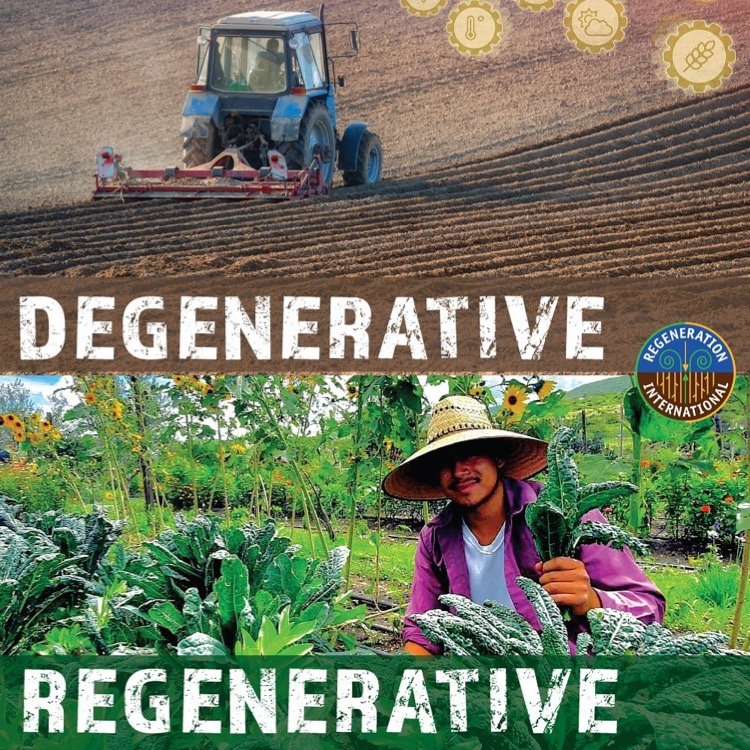 "We have more than enough resources for everyone to live a life of wellbeing. The world produces around 3 times more food than we need. We have unfair, exploitative and wasteful systems that need to be transformed and regenerated." - Andre Leu

➡️ orgcns.org/3rh2c8p