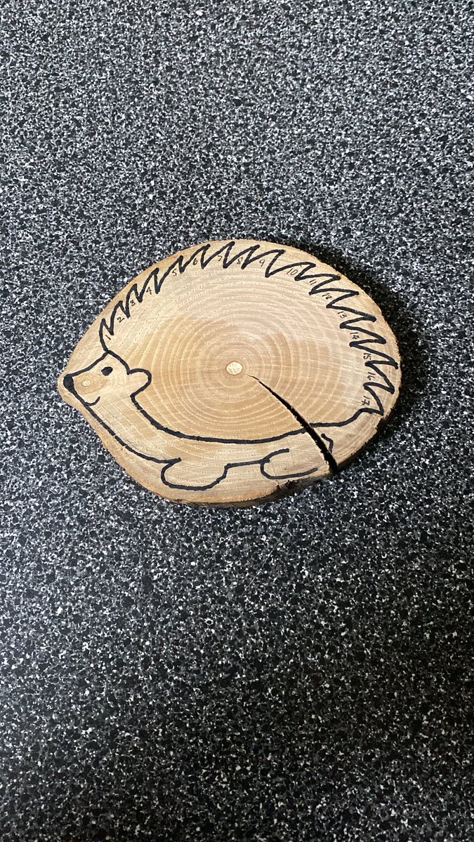 Sandy Miller (she/her) tweet media