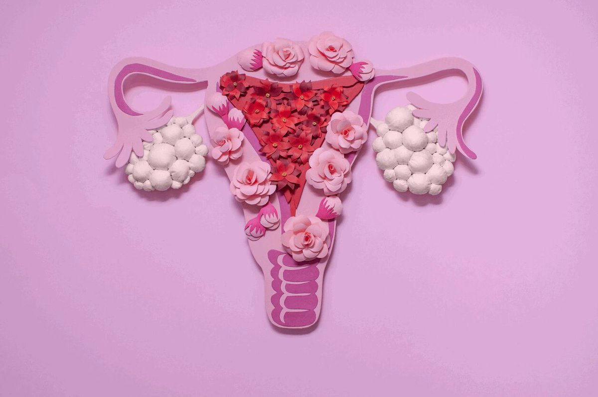 CalgaryRFP's tweet image. September is Poly Cystic Ovarian Syndrome (PCOS) Awareness Month. PCOS affects 1 in 10 reproductive aged people with ovaries.  PCOS is a leading cause of infertility. 

If you are struggling with the above, make sure to reach out to your Physician for help.