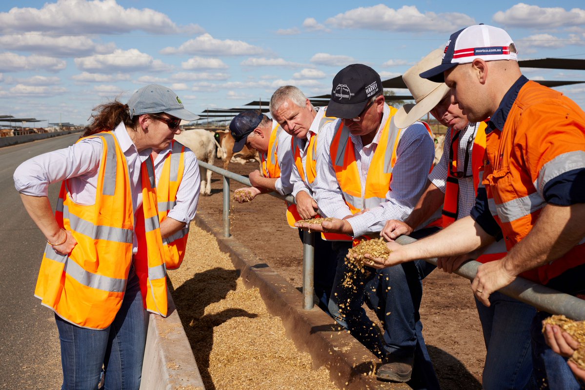 Coles is partnering with the beef industry to trial a new feed supplement that greatly reduces methane emissions from cattle and could lead to a step-change in the sustainability of Australian beef farming. Read more about our trial here: colesgroup.com.au/media-releases…