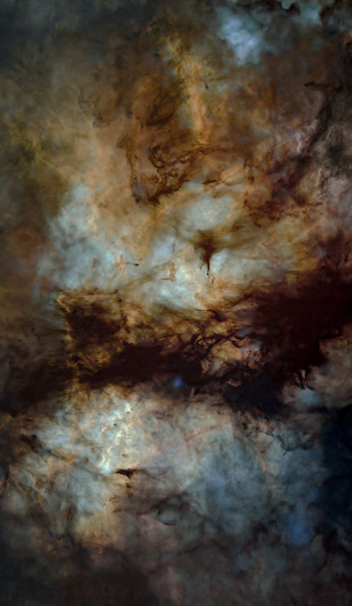 Astrodb3's tweet photo. #cosmic #butterfly #starless #sadr @zwoasi 1600mm 
@ExploreCS ed80
@Celestron AVX 
#ASTRO #Astrophotography #butterflynebula #lookup #stardust #hubble #palette https://t.co/qJOxo8os4s