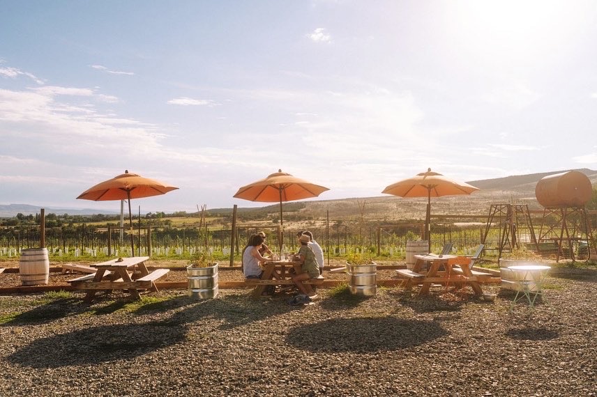 The Storm Cellar | Winery tweet media