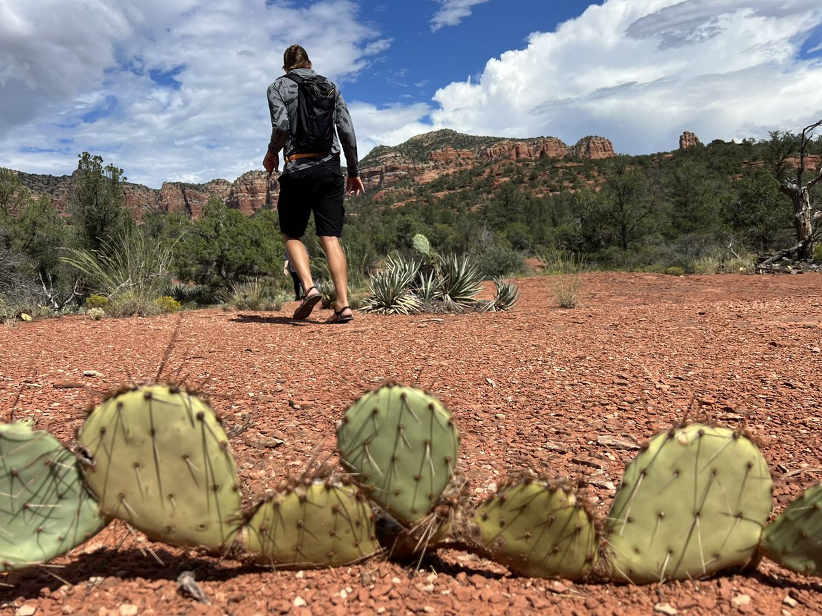 Randy Propster tweet media