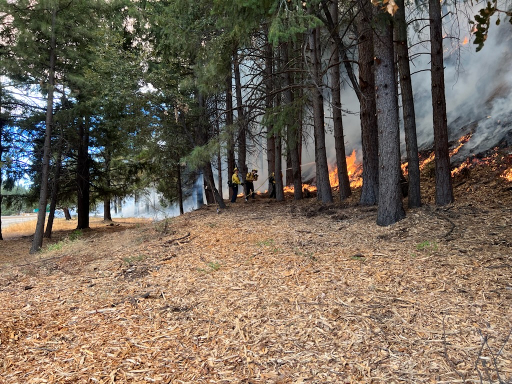 CAL_FIRE's tweet photo. #DutchFire off I-80 &amp; Ridge Rd, near Dutch Flat in Placer County is 30 acres and 30% contained. @CALFIRENEU 

https://t.co/qS2MCFPQDj https://t.co/VNxvvVTiXV