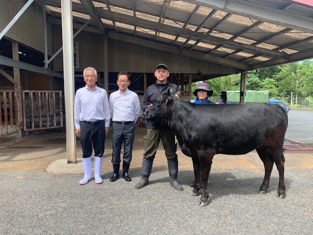 townjinseki's tweet photo. 広島県代表牛として神石高原町から3頭が選出され、10月に鹿児島県で開催される全国和牛能力共進会（全国大会）に出場します！

#神石高原町 #神石牛 #和牛 #全国大会
#全国和牛能力共進会 #広島県代表牛
#広島県 #神石牛を��界へ https://t.co/1do3CJ8B5A