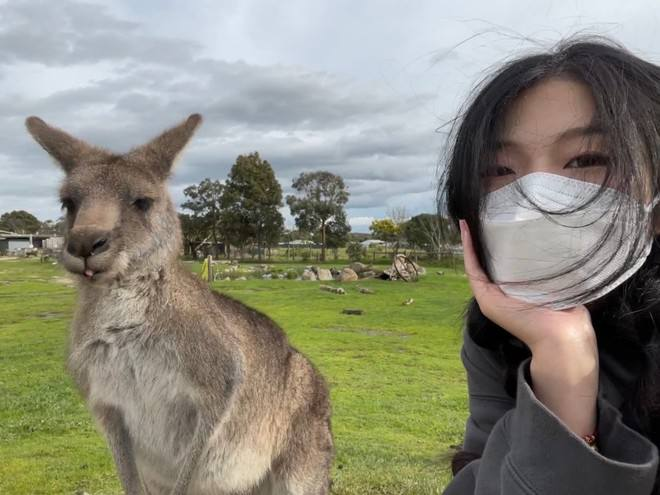 Nicky71191952's tweet photo. 私の男の子と。🤭🤪
#Kangaroo https://t.co/NtHQZEU9fc