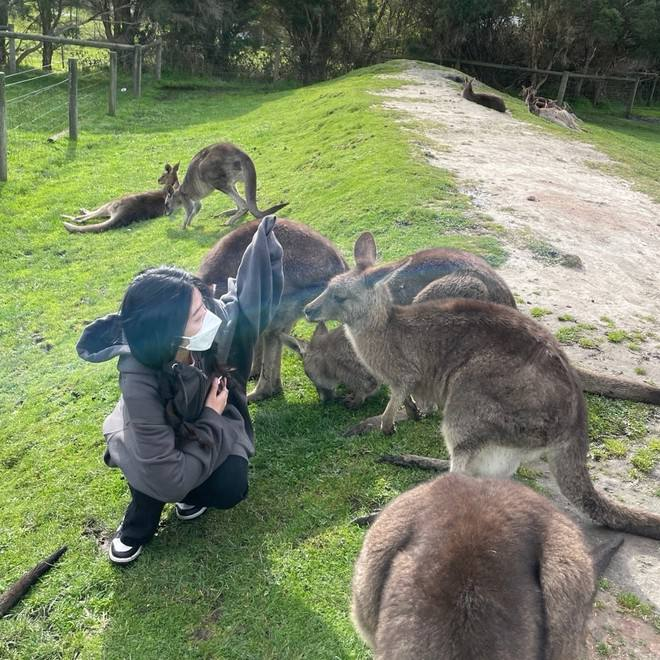 Nicky71191952's tweet photo. 私の男の子と。🤭🤪
#Kangaroo https://t.co/NtHQZEU9fc