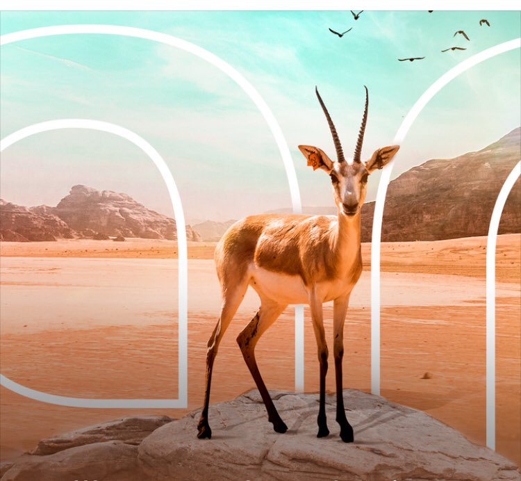 لا تعش حياةً لا تشبهك 
ولا تقل كلاماً لا يُمثلك 
ولا تقبل أن تُشارك بمعركة ليست لك 
كُن بسيطاً،عفوياً  ،مستقلاً
 وكُن أنت دوماً أنت  
فمن يريدك أرادك بالذي تكن 
ومن لآ تعجبه ذآتك لآ يستحقك
👈كل الخسائر قابله للتعويض إلا أن تخسر سنوات من عمرك باحثاً عن رضا الناس...🍃🌸