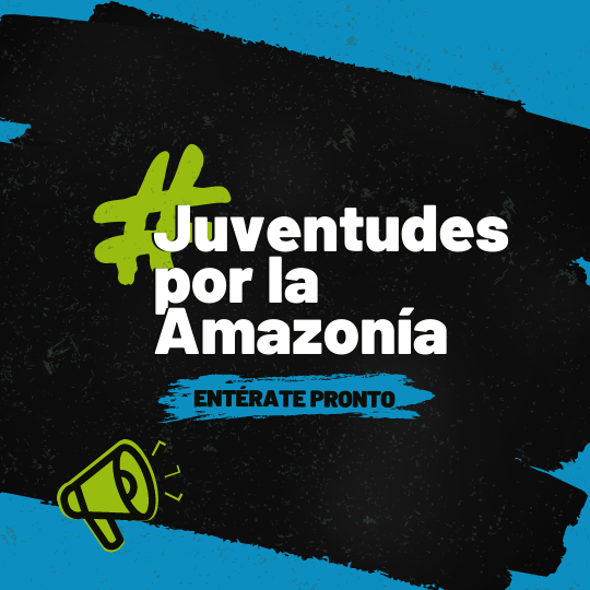 ¿Te gustaría aprender más sobre las problemáticas de los defensores ambientales? ¿Cómo las juventudes podemos tomar acción al respecto? 🤔

¡Atentx a nuestros siguientes posts!🔥

#JuventudesxlaAmazonía