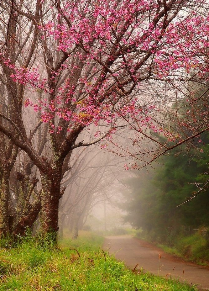 Jeanette On Twitter RT fatimahfnz Good Morning