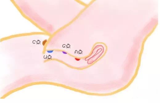 需要的自取🤤Dddd！
＃女同 ＃拉拉 ＃技术 ＃les