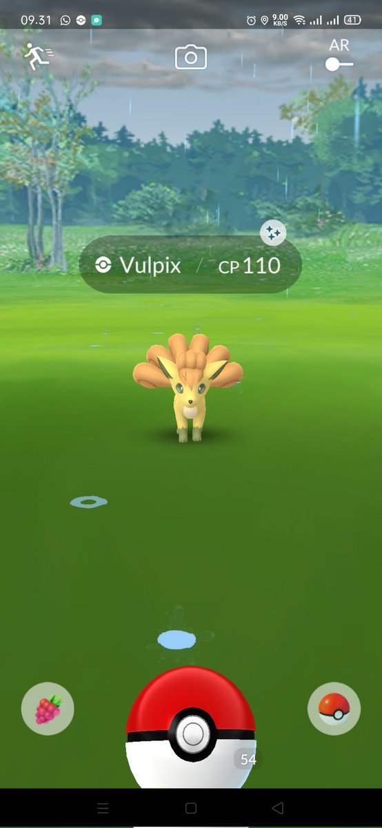 ShareMyCollect's tweet photo. ***Daily Shiny***
Shiny Vulpix 🔥✨
#DailyShiny #PokemonGO #ShinyPokemon https://t.co/6maWscT1kP