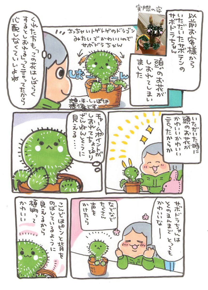 【ポップ担当日記】
朝はサボドラちゃんに声をかけてから出勤するのがもうすっかり日課になりました。 
