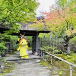ツイートに含まれる画像