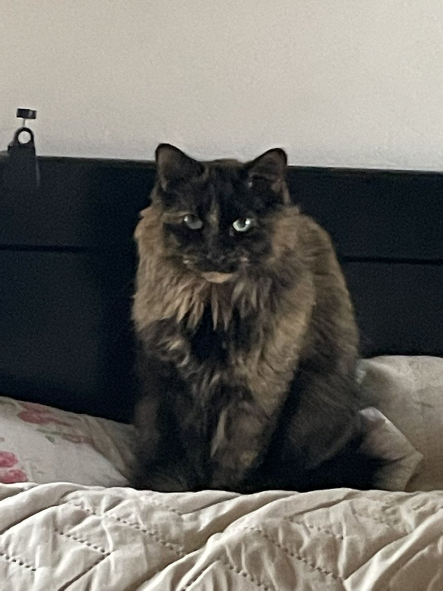 Lettuce looking right at you