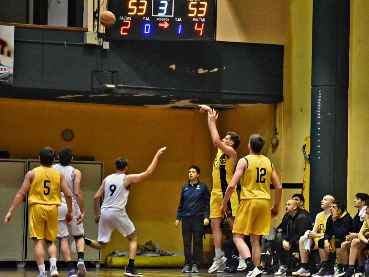 GER Basquet tweet media