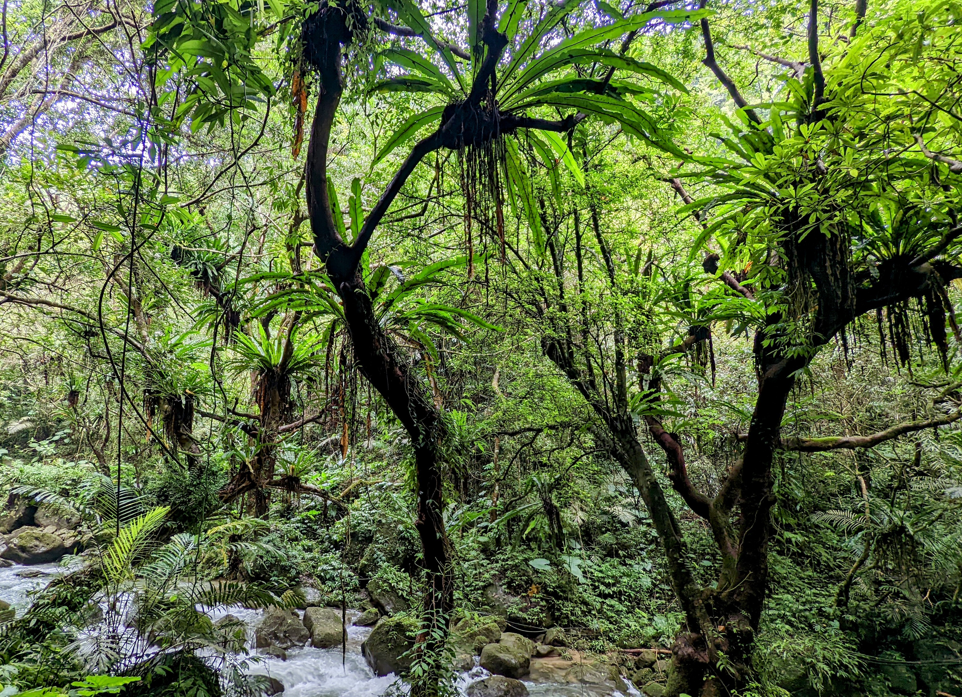 Cranetour Jp Cranetour Twitter