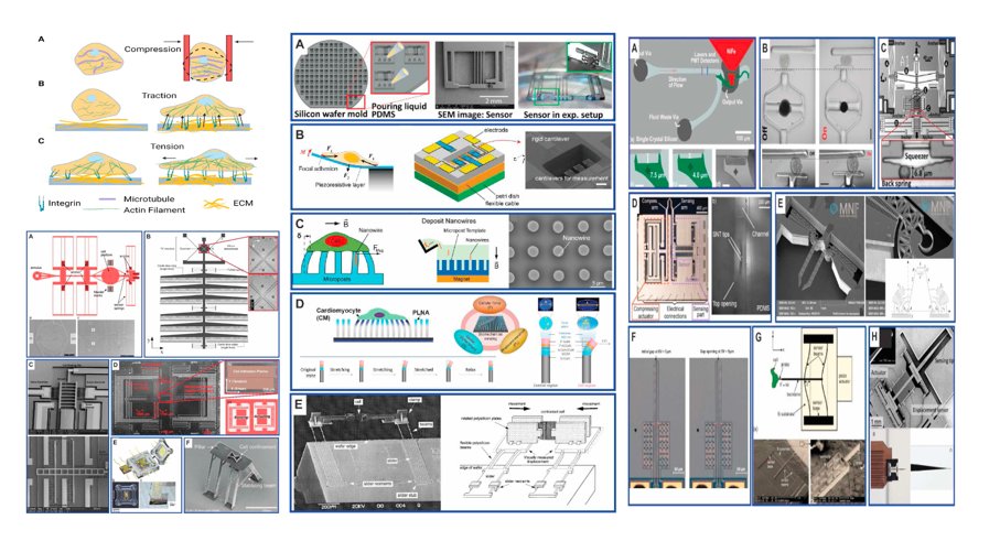 medntdj's tweet photo. Microfabricated platforms to investigate cell mechanical properties
https://t.co/WftL0M5UX0
#BioMEMS #Mechanical properties #Microdevices #MedTwitter #scicomm #MedEd #AcademicTwitter https://t.co/tqTFHV2GfY