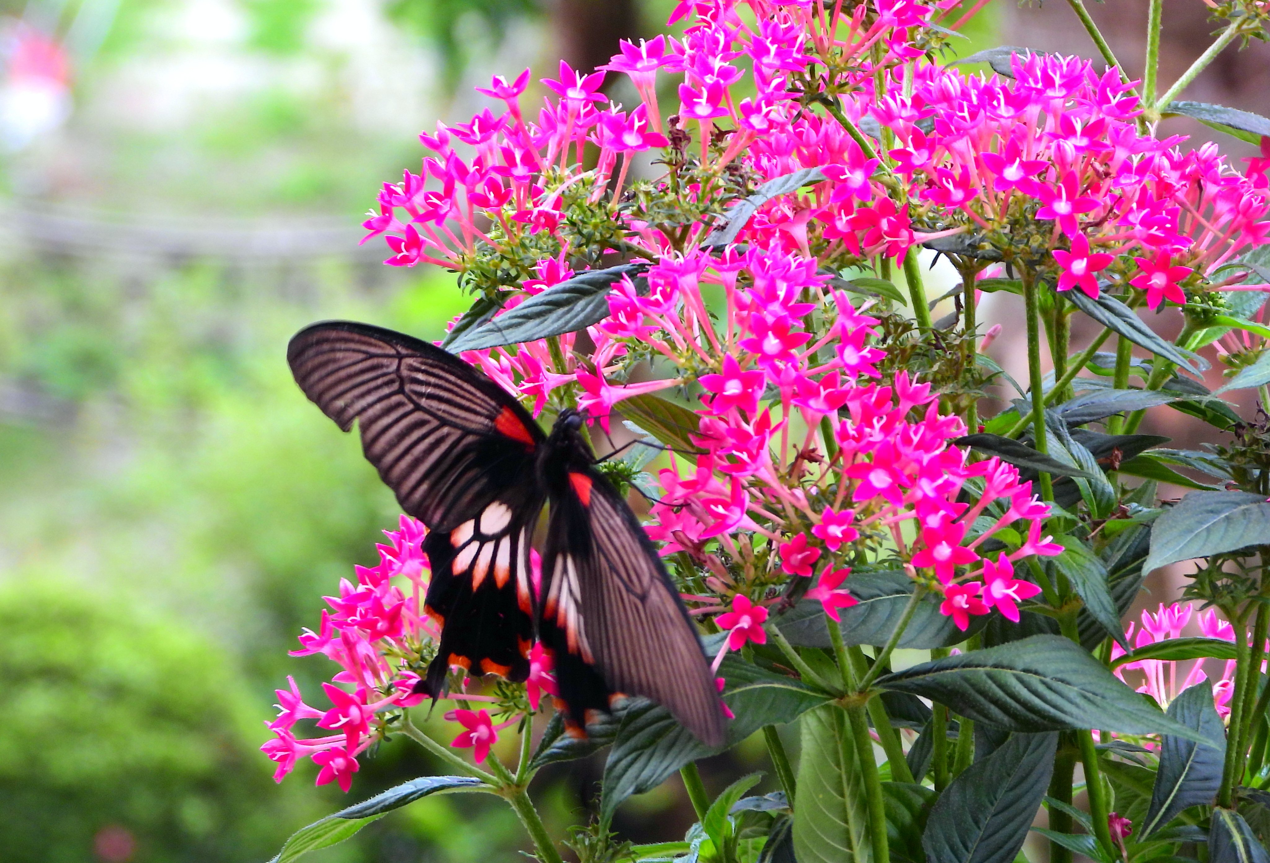 クレーンツアートラベル Twitter Search Twitter