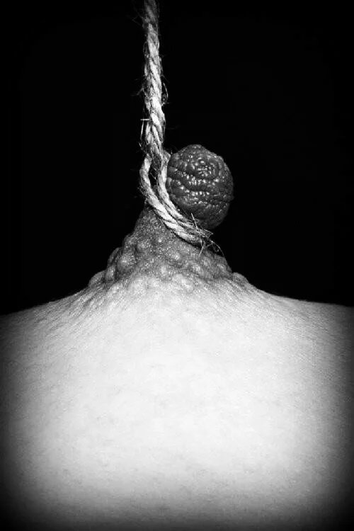 alicnwondland's tweet photo. Pull and tug 
Let us come undone

❦ Lègami ❦

 #Erotify #amatory https://t.co/YrLAHyFT2E