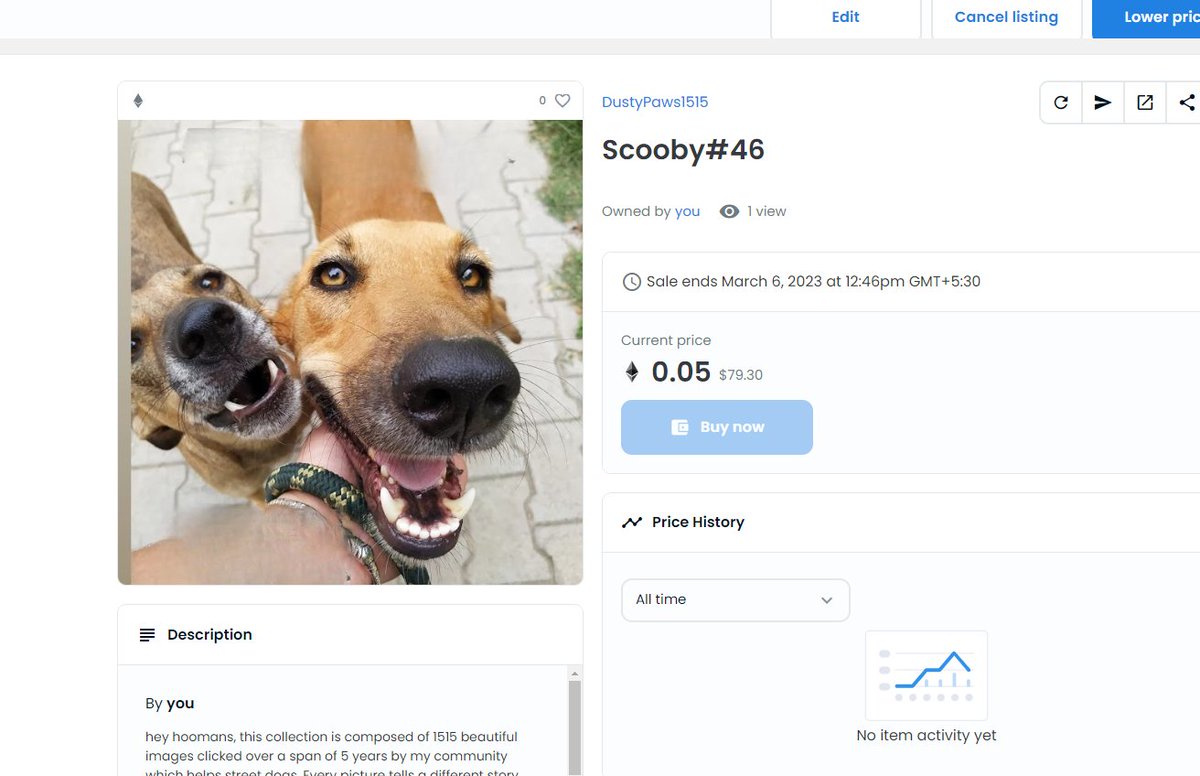 StreetDogs16's tweet photo. can we be your Twitter pets, hoomans! 🐶🐶
@kokid951 @SnoopDogg @LoganPaul @KSI @TheCryptoDog @garyvee @opensea 
#NFTs #NFTGiveaway #Ethereum @Ghozali_Ghozalu @IvePetThatDog @Irenezhao_ https://t.co/PCrIXKgqXj