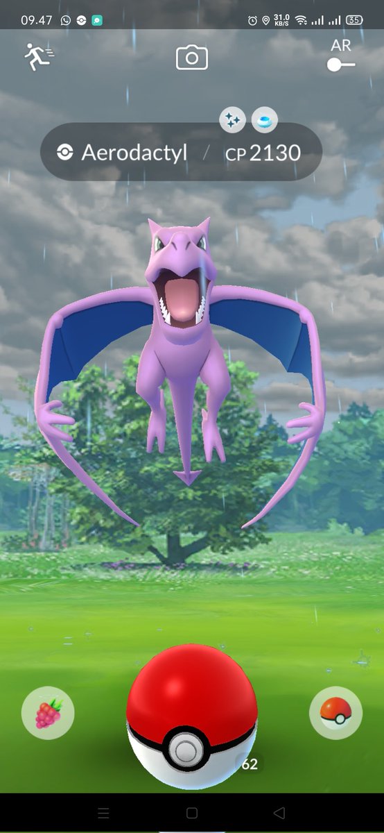 ShareMyCollect's tweet photo. ***Daily Shiny*** (2)
Shiny Aerodactyl 🪨🕊️✨
#DailyShiny #PokemonGO #ShinyPokemon https://t.co/2ISb4OajTC