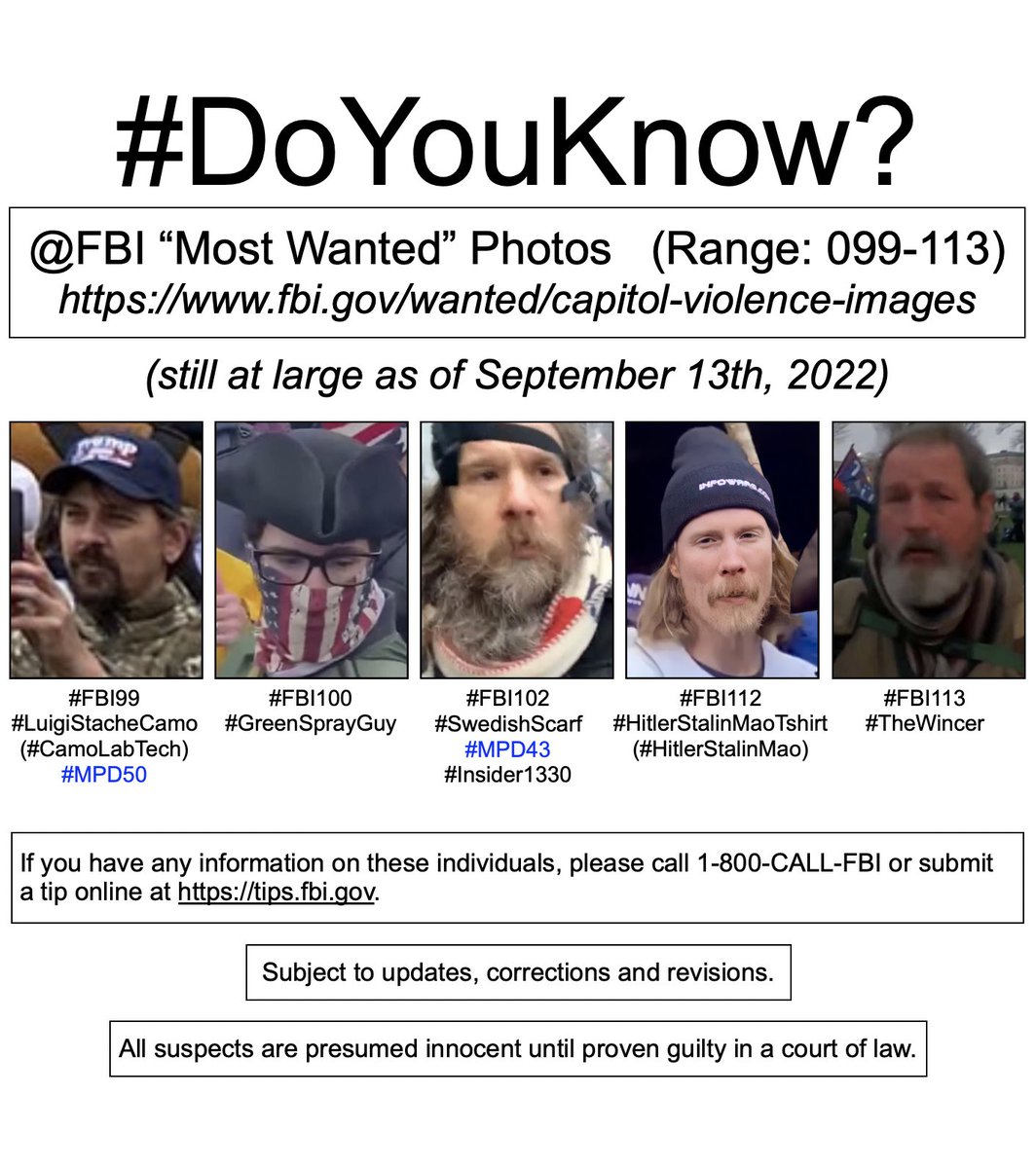 #SeditionHunters
🧵
8/

fbi.gov/wanted/capitol…

Range: 099-113

#FBI99 (#LuigiStacheCamo)(#CamoLabTech)(#MPD50)

#FBI100 (#GreenSprayGuy)

#FBI102 (#SwedishScarf)(#MPD43)(#Insider1330)

#FBI112 (#HitlerStalinMaoTshirt)(#HitlerStalinMao)

#FBI113 (#TheWincer)

#SeditionInsiders