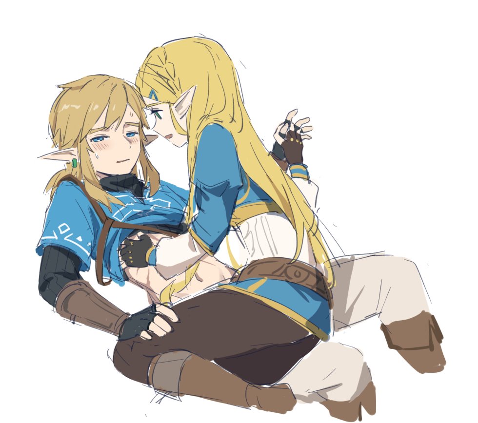 无显 on X: #TOTK #BOTW #Zelda #Zelink #リンゼル  / X